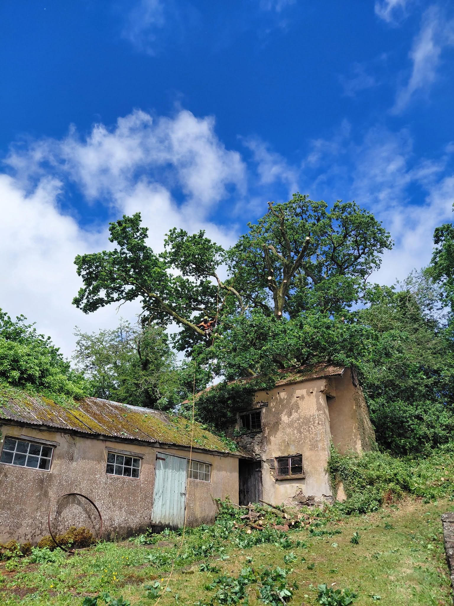 Old stone barn with a big tree above it