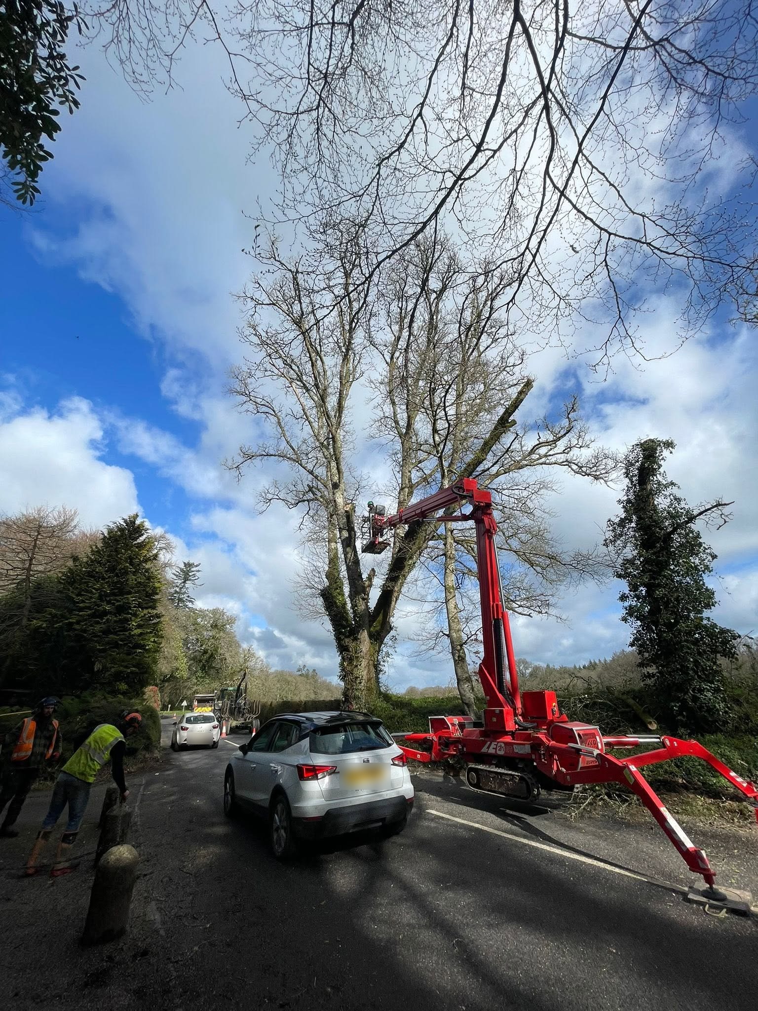 Our crew and cherry picker working on roadside trees